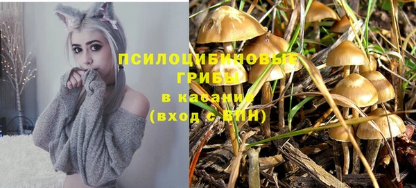 МДМА Корсаков