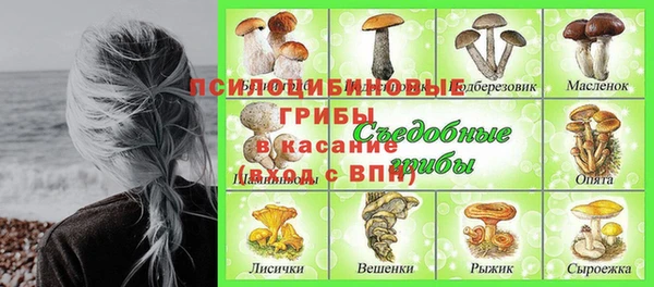 дмт Коряжма