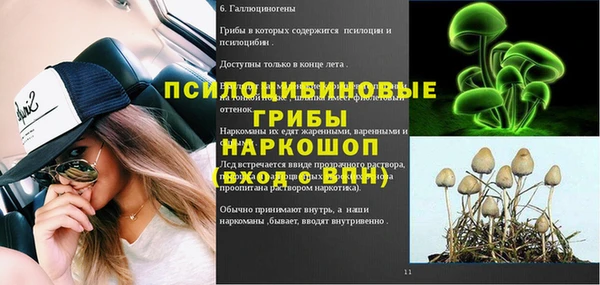 бошки Переславль-Залесский