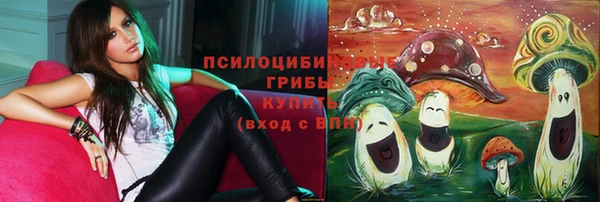 дмт Коряжма